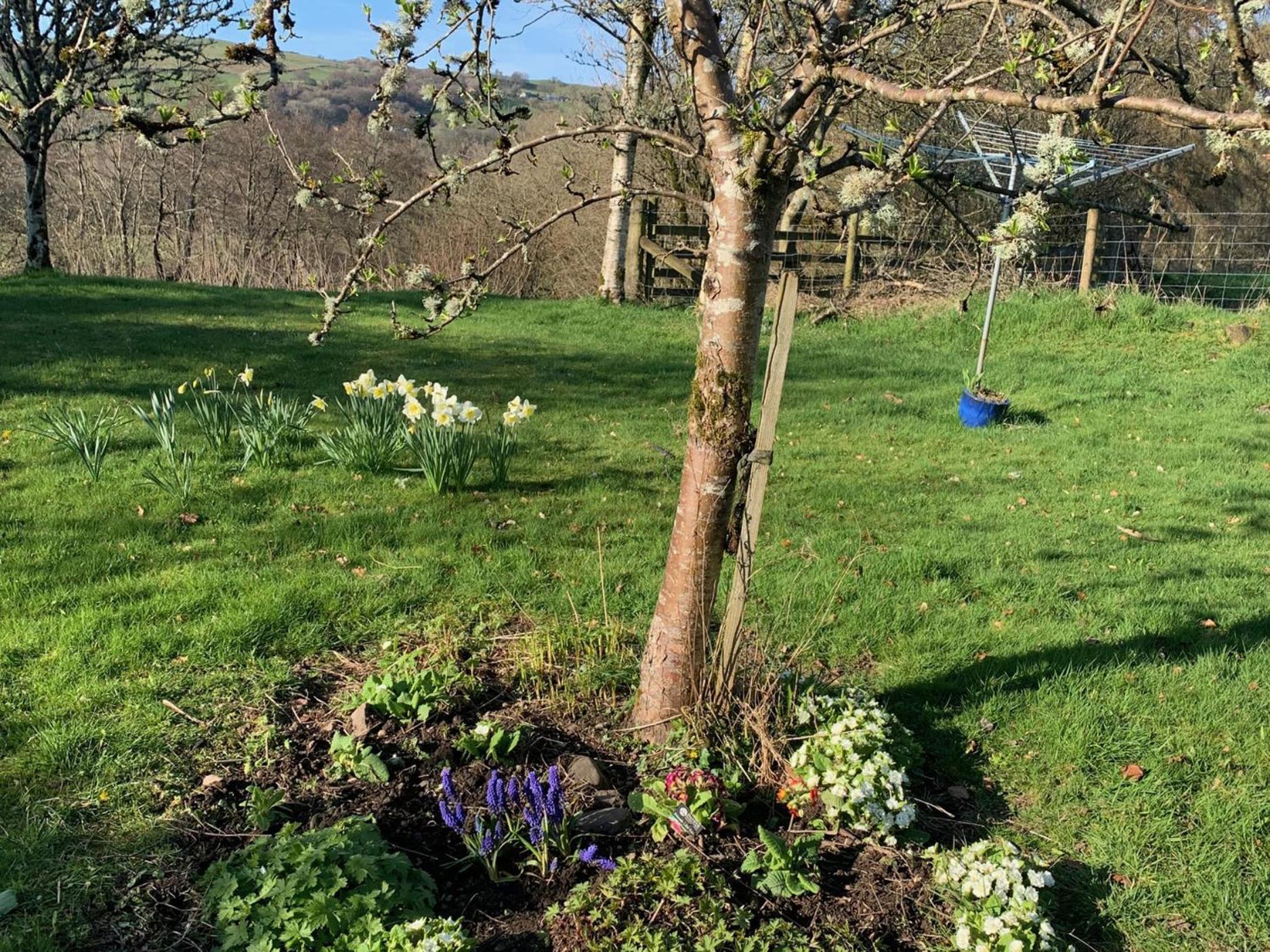 Beudy Dolpebyll Villa Llangadfan Buitenkant foto