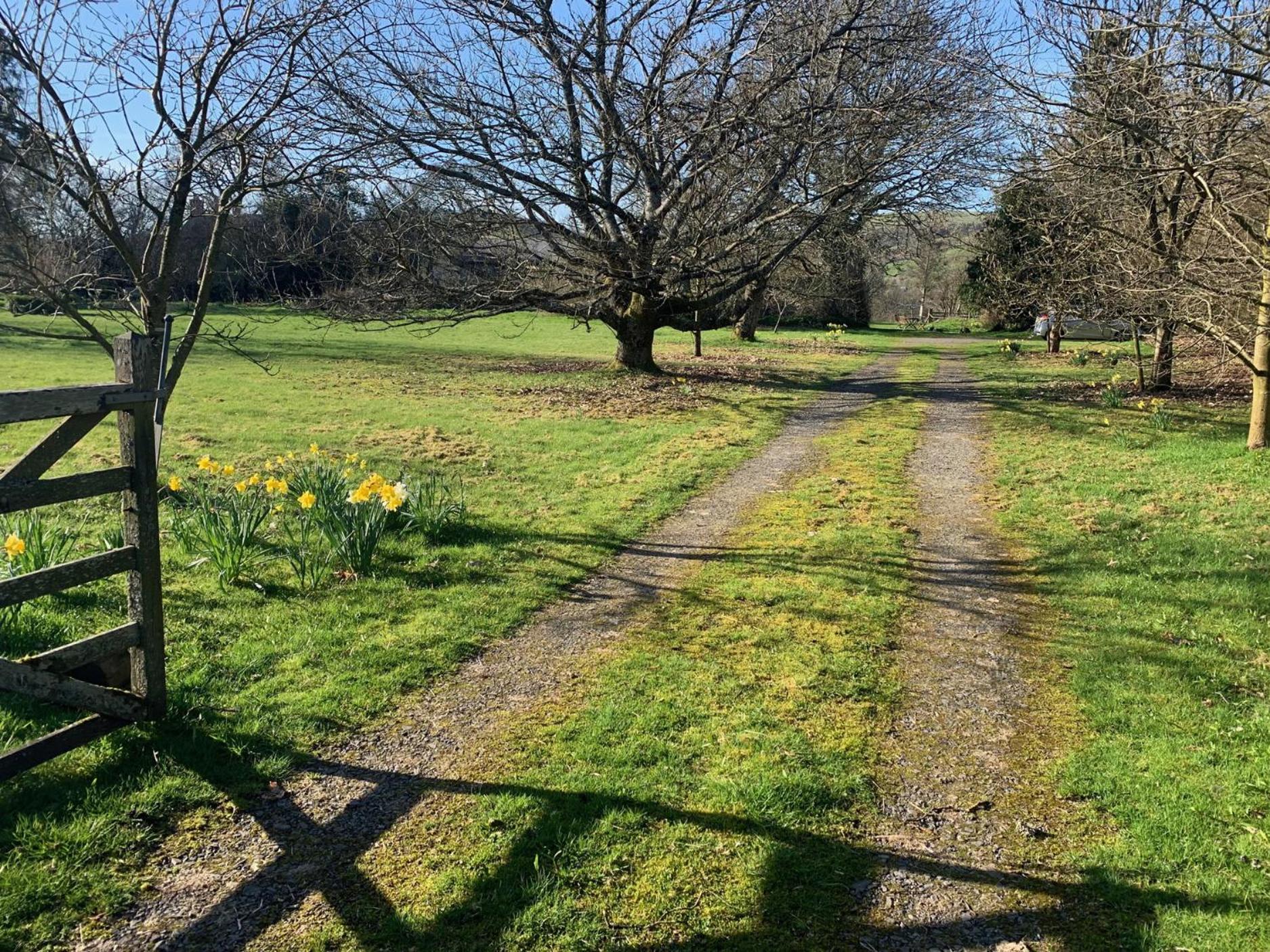 Beudy Dolpebyll Villa Llangadfan Buitenkant foto